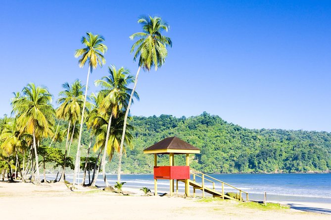Colorful lifeguard hut beside a palm-lined beach
